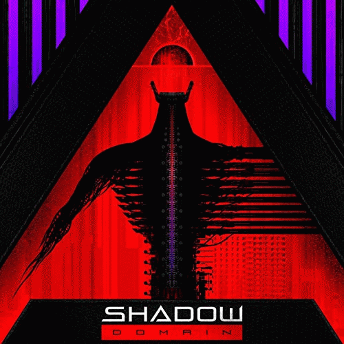 Shadow Domain : Digital Divide